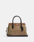 AOC COA Multicolour CC Print Premium Quality Ladies Sling Bag 2387#