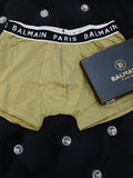 LAB Light Green Colour Underwear 987387