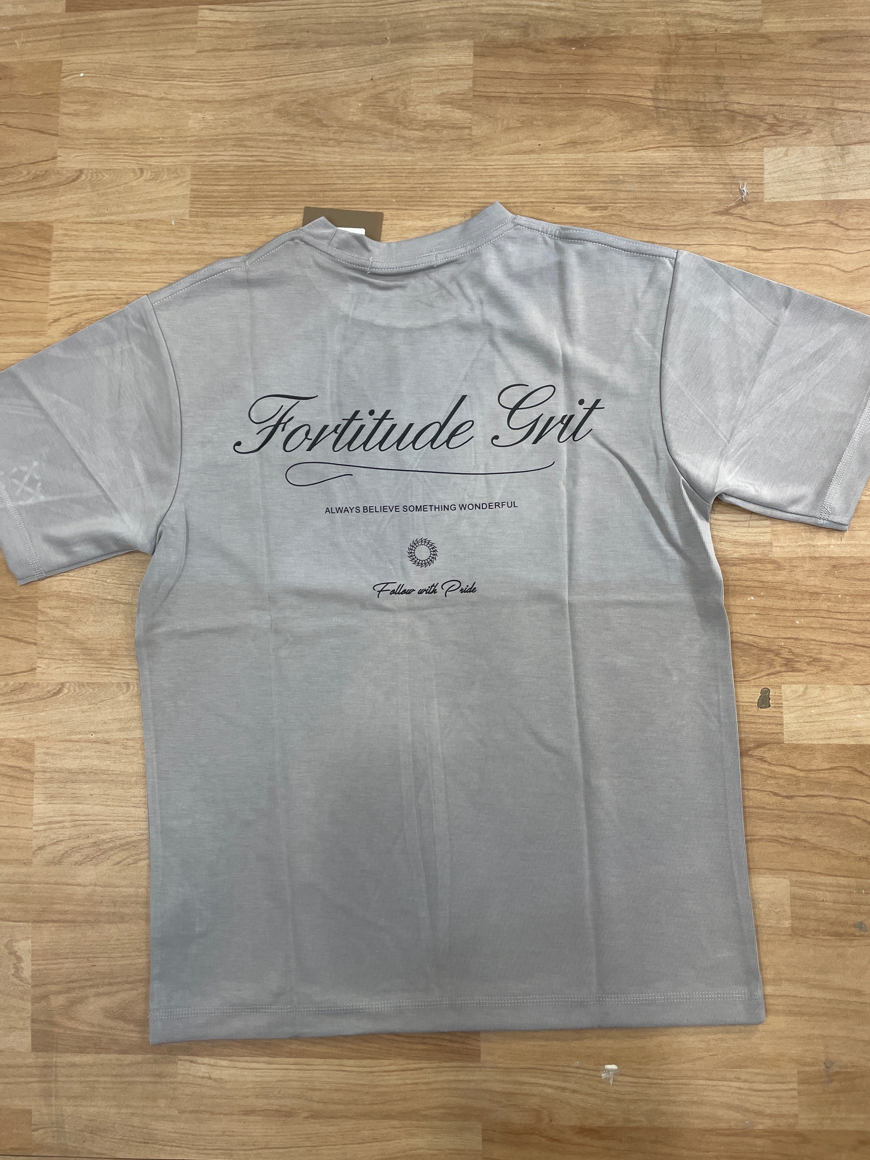 OUTLIER Grey Colour Back Print Premium Quality Round Neck T-Shirt OL 470